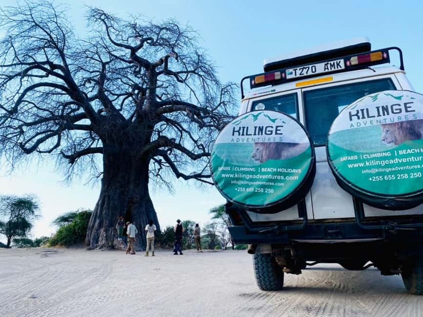 1-Day Ngorongoro Crater Special Big 5- Joining Group Safari - Why Ngorongoro Crater works as a one-day safari