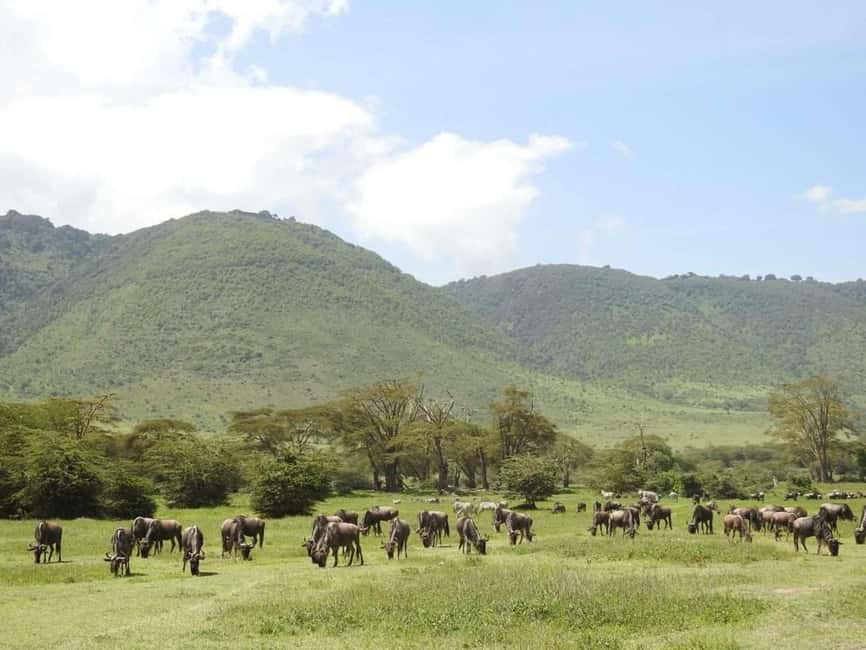 1-Day Ngorongoro Crater Special Big 5- Joining Group Safari - The early road from Arusha or Moshi