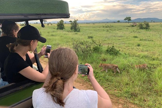 1 Day Safari to Mikumi National Park - Breakfast and the long road to Mikumi