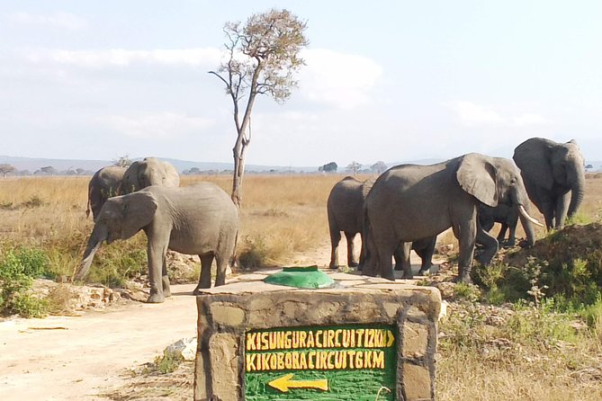 1 Day Safari to Mikumi National Park - Entering Mikumi National Park for the first game drive