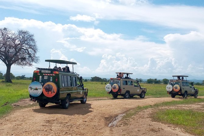 1 Day Safari to Mikumi National Park - The return to Dar es Salaam