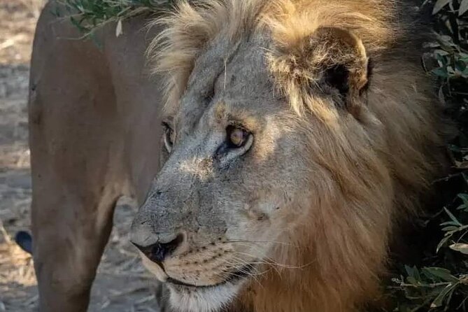 1. Day safaris to Mikumi by Train from dar es salaam - Is $370 per person fair value?
