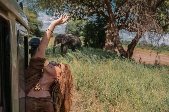 1. Day safaris to Mikumi by Train from dar es salaam - The early transfer from Dar es Salaam to Morogoro