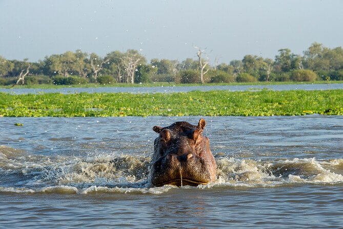 1-Day Selous (Nyerere National Park) Fly-In Safari from Zanzibar - The guides are central to the experience