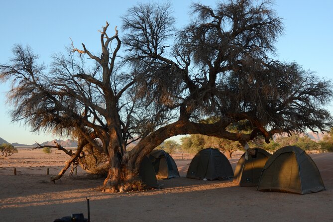 12 Day Classic Namibia Camping Safari - Day 4: Himba culture and Palmwag