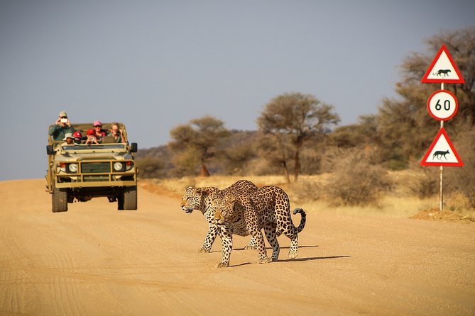 12 Day Classic Namibia Camping Safari - Day 1: From Windhoek to Mount Etjo