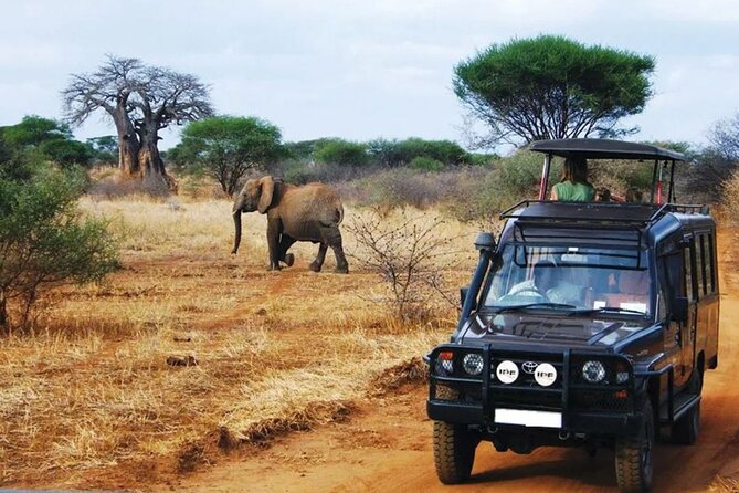 13 Day Safari - Cape Town to Johannesburg - Days 5 to 8: The Wild Coast, Mandela sites, and the Drakensberg