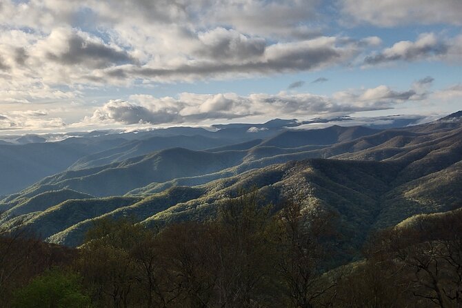 2.5-3 hour Smoky Mountain Cherokee Blue Ridge Parkway Safari tour - Cherokee stories and Appalachian lore