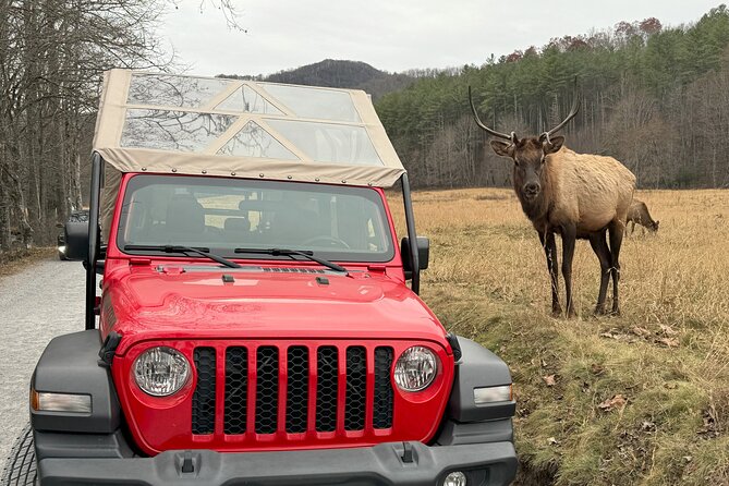 2.5-3 hour Smoky Mountain Cherokee Blue Ridge Parkway Safari tour - What the $99.99 price includes in value