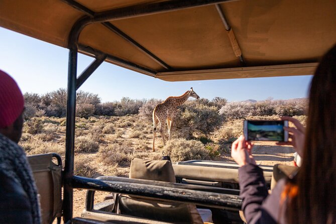 2 Day Inverdoorn Luxury Safari - The sunset safari, from 2.5 to 3 hours