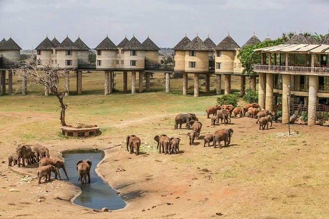 2-Day Safari in Taita Hills from Mombasa - Why this Mombasa safari works in only two days