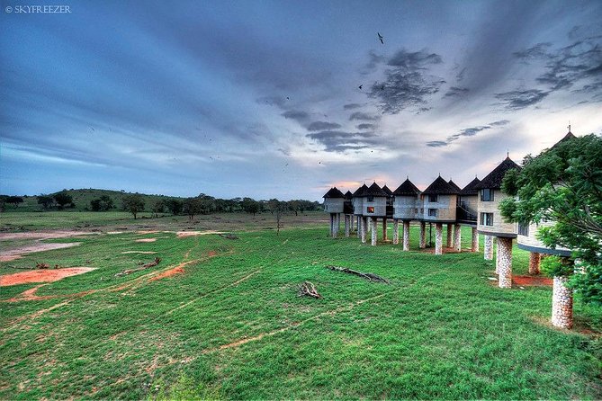 2-Day Safari in Taita Hills from Mombasa - Taita Hills Wildlife Sanctuary and the Salt Lick stay