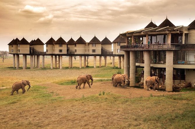 2-Day Safari in Taita Hills from Mombasa - Transport, group size, and family considerations