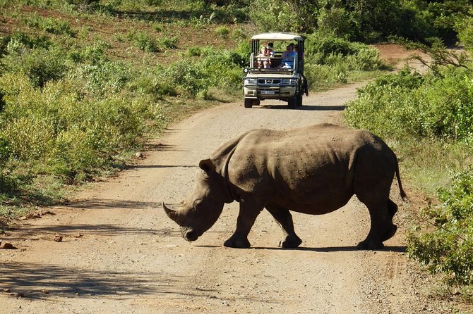 2 Day South African Wildlife Tour with 4x4 Safari from Cape Town - Why this short safari works from Cape Town