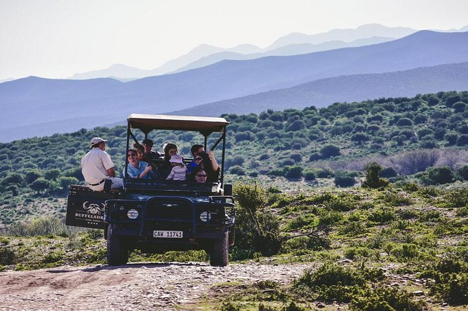 2 Day South African Wildlife Tour with 4x4 Safari from Cape Town - The optional rescued-elephant observation