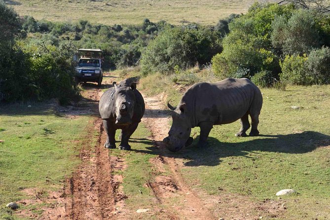 2 Day Wild Heart Western Cape Safari Tour with Private Transfers - Is this really a private safari?