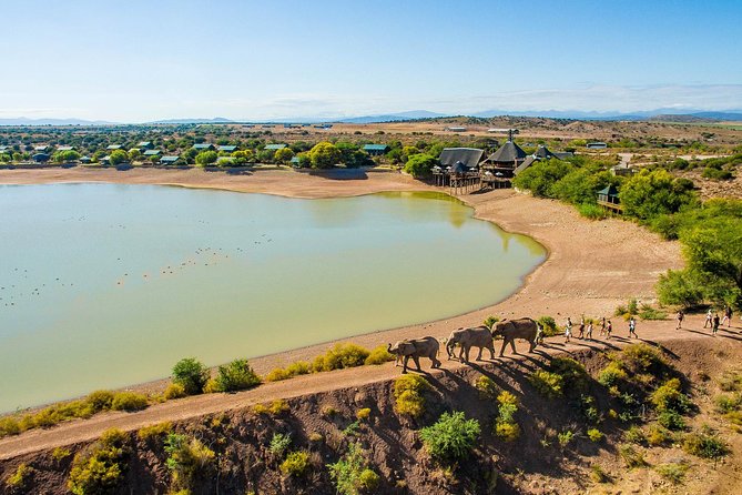 2 Day Wild Heart Western Cape Safari Tour with Private Transfers - The optional elephant observation