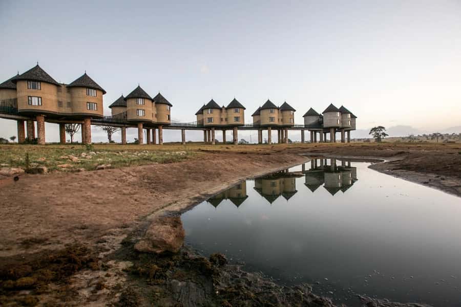 2 days 1 night saltlick safari from Diani/Mombasa - Why Salt Lick Lodge makes this short safari special