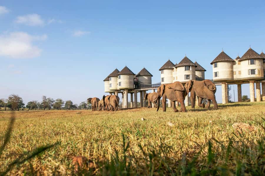 2 days 1 night saltlick safari from Diani/Mombasa - What the $650 price includes