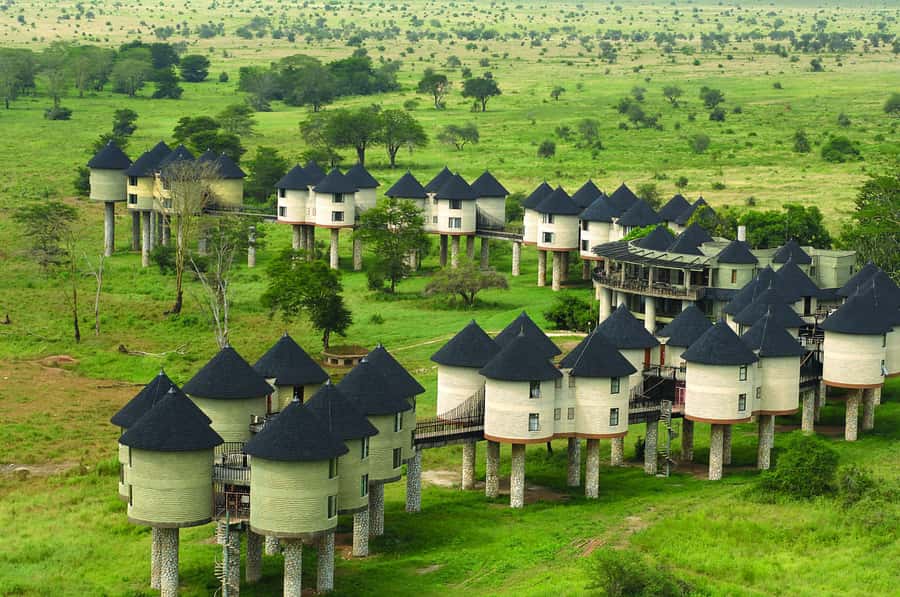 2 days 1 night saltlick safari from Diani/Mombasa - Guide service and the human side of the trip