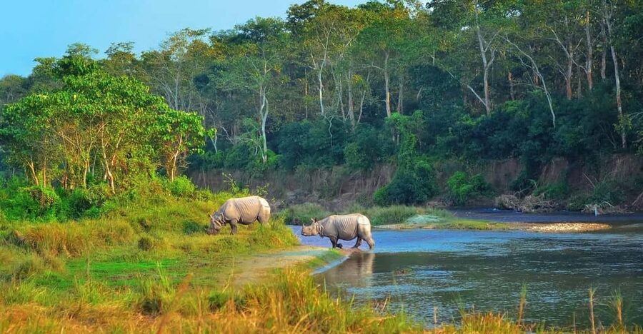 2 Days Chitwan Jungle Safari Tour from Pokhara/Kathmandu - Why this two-day Chitwan trip works