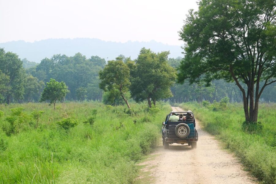 2 Days Chitwan Jungle Safari Tour from Pokhara/Kathmandu - Early morning jungle walk before breakfast