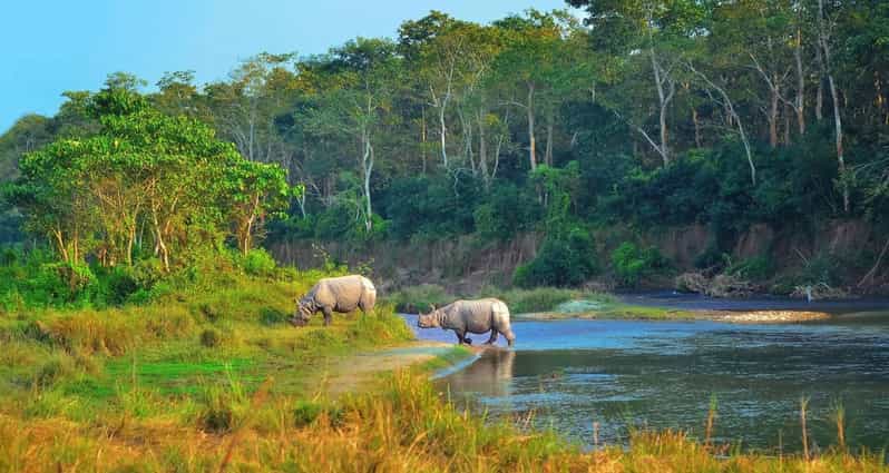 2 Days Chitwan Jungle Safari Tour from Pokhara/Kathmandu - Who should book this safari