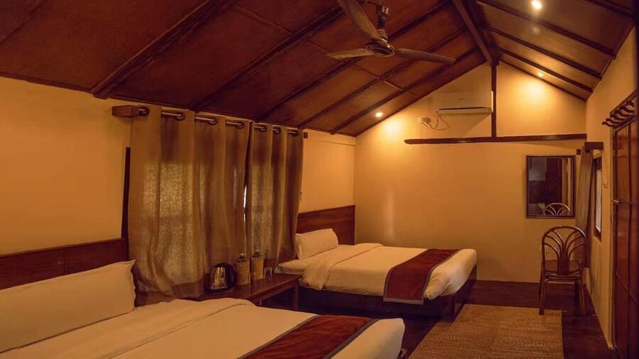 2 Days Chitwan Jungle Safari Tour from Pokhara/Kathmandu - Practical tips for making the most of two days