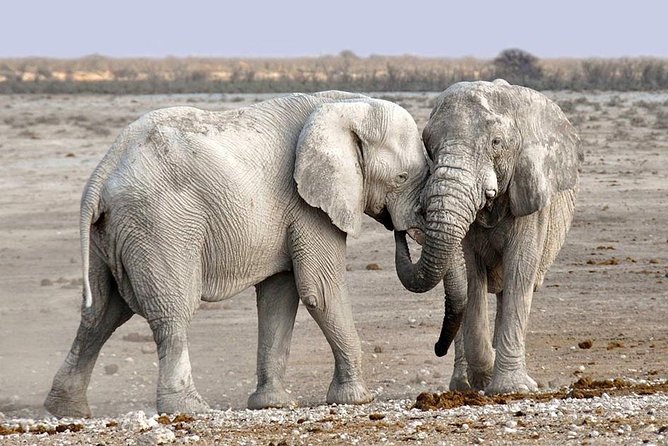 2 Days Group Joining Camping Safari Tarangire Park and Ngorongoro Crater - Kizumba Campsite and the value of included meals