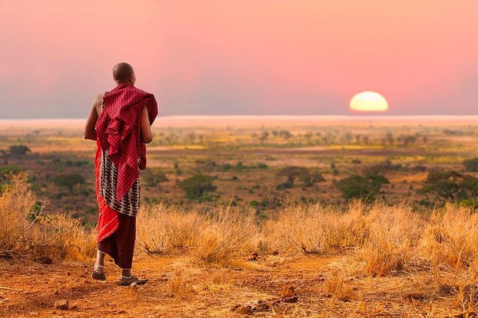 2 days Mid Range Safari in Ngorongoro and Tarangire Big 5 Parks - Tarangire: elephants, baobabs, and dry-country wildlife