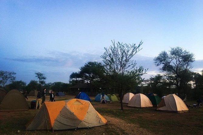 2 days Mid Range Safari in Ngorongoro and Tarangire Big 5 Parks - Ngorongoro Crater: a concentrated second day