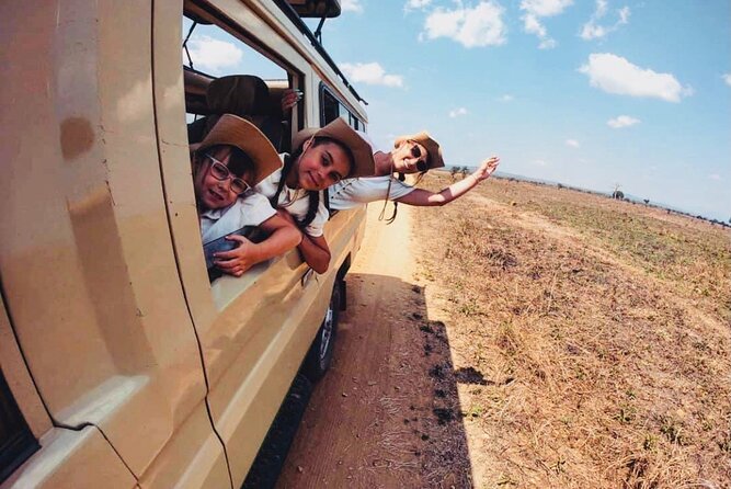 2 Days Mikumi National Park Safari From Dar es salaam or Zanzibar - Overnight comfort and the practical value of meals