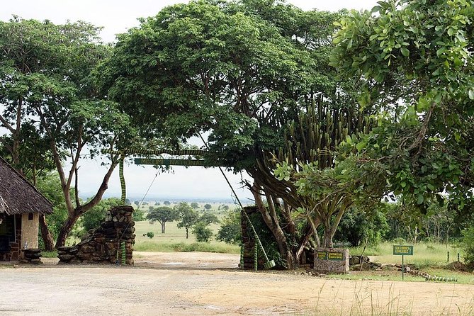 2 Days - Mikumi safari depart from Zanzibar or Dar es salaam - The four-hour drive toward Mikumi