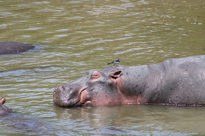 2 days private lodge safari - Who will like this safari most?