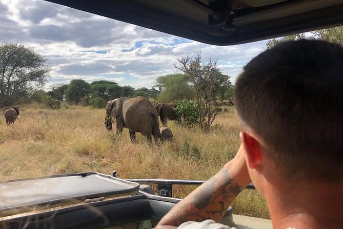 2-Days Private Midrange Safari; Tarangire & Ngorongoro Crater - What $1,055.56 per person buys you