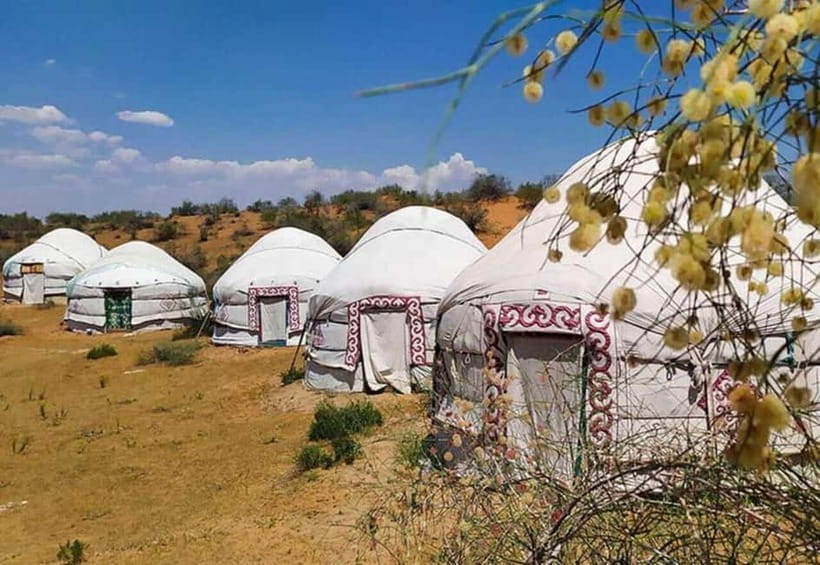 2 Days Private Safari Tour from Bukhara - Rabati Malik and the old water route