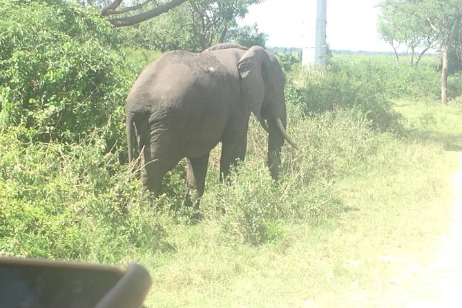 2 Days Safari To Queen Elizabeth National Park with Cruise - The Kazinga Channel cruise