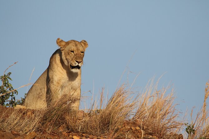 2 Days Tarangire and Ngorongoro Group Camping Safari - Cancellation and booking points to check