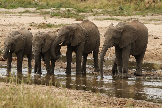 2 Days Tarangire and Ngorongoro Mid-Range Group Safari - Who should book this safari