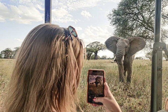 2 days Tarangire and Ngorongoro short safari - Day 2: A full day inside Ngorongoro Crater