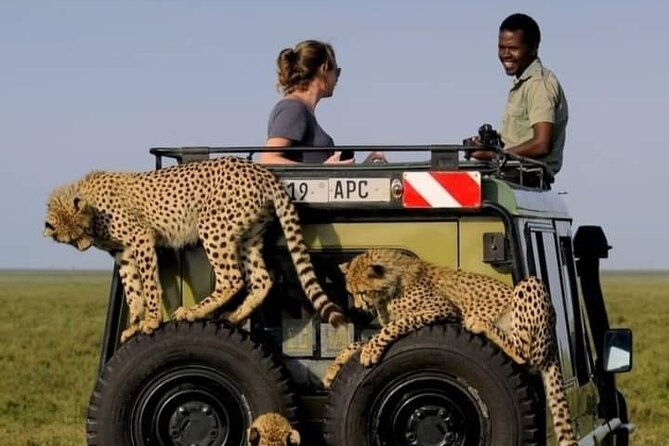 2 days Tarangire and Ngorongoro short safari - What the $1,100 price includes