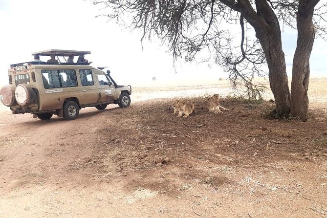 2 Days Tarangire & Ngorongoro Budget Safari Tour Tanzania - Ngorongoro Crater packs a lot into one day
