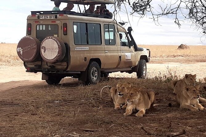2 Days Tarangire & Ngorongoro Budget Safari Tour Tanzania - What the guide and cook add