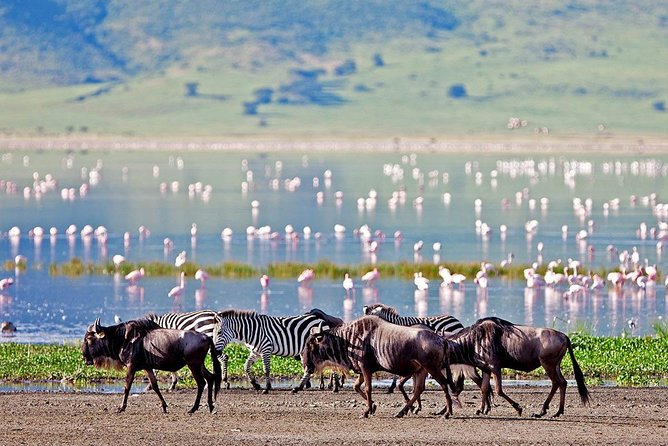 2 Days Tarangire & Ngorongoro Budget Safari Tour Tanzania - Meals are part of the value