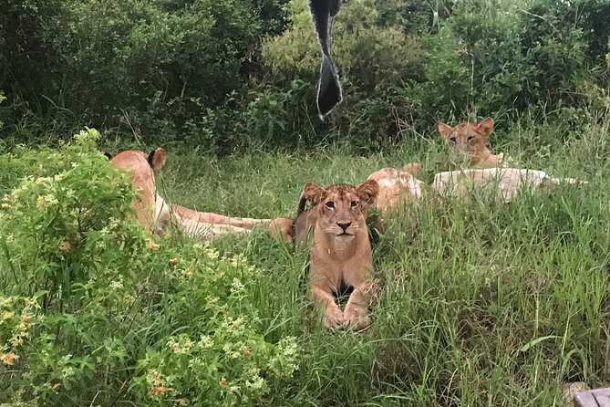 2 nights 3 days safari to mikumi national park - Private travel, road comfort, and the pace of the trip