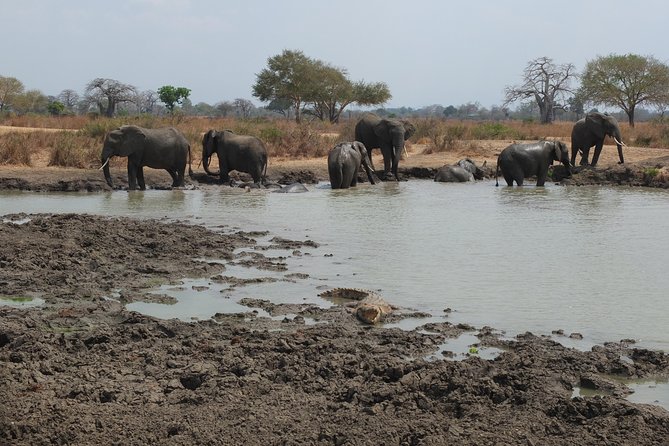 2 nights 3 days safari to mikumi national park - Food, accommodation, and what the $650 price covers