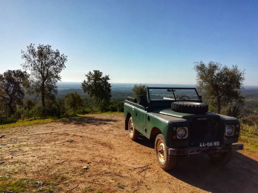 2hr Cork Safari in a Classical Land Rover - Guides who make the difference