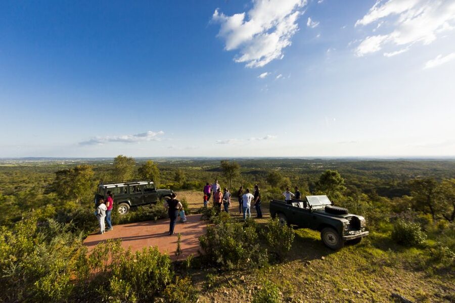 2hr Cork Safari in a Classical Land Rover - The farm shop and the meal