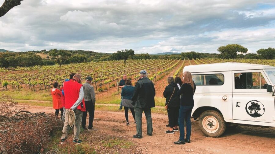 2hr Cork Safari in a Classical Land Rover - Timing, comfort, and who should book