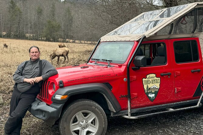 3 - 3.5 HR Smoky Mtn. Cherokee Eco Elk Safari Jeep Adventure - Great Smoky Mountains National Park: forest roads and mountain stories